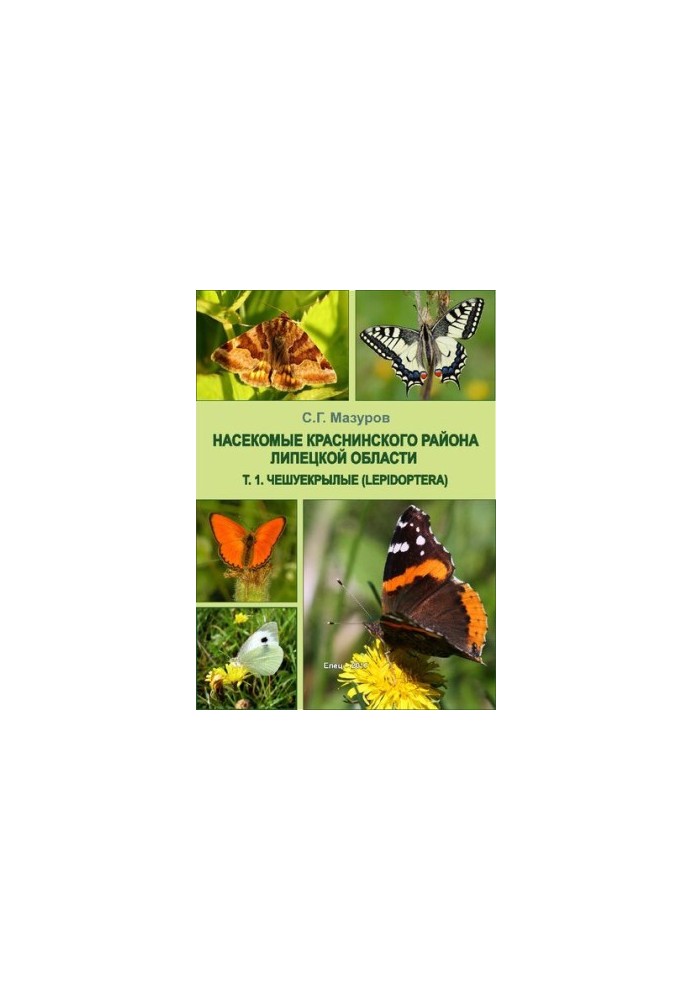 Чешуекрылые (Lepidoptera)