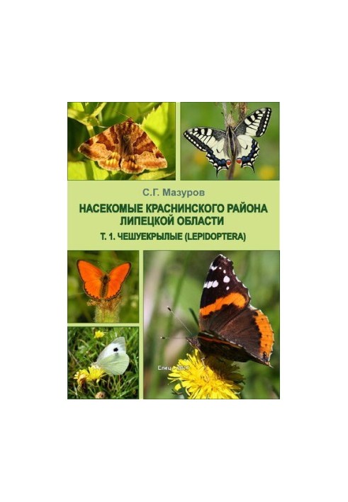 Чешуекрылые (Lepidoptera)