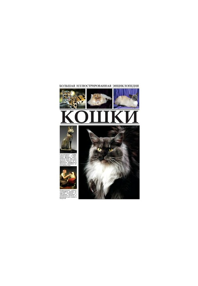 Кошки. Большая иллюстрированная энциклопедия