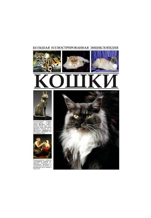 Кошки. Большая иллюстрированная энциклопедия