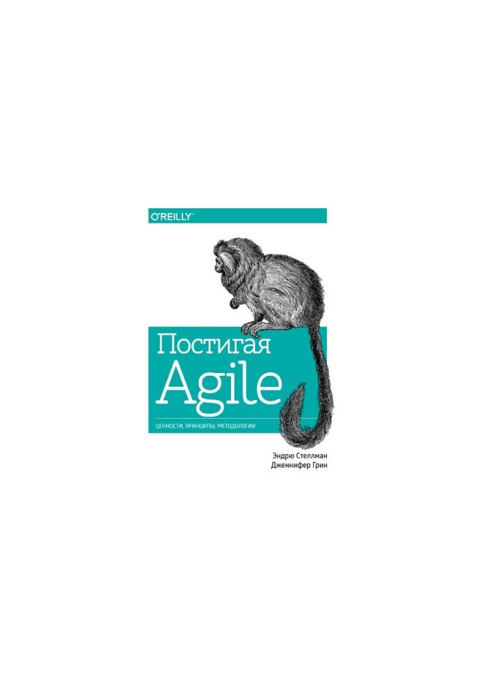 Постигая Agile: ценности, принципы, методологии