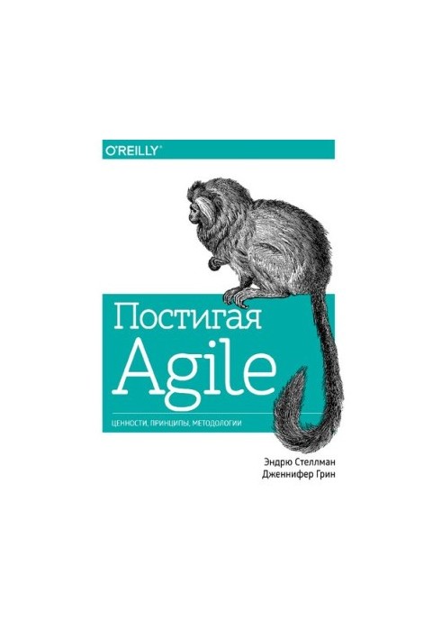 Постигая Agile: ценности, принципы, методологии