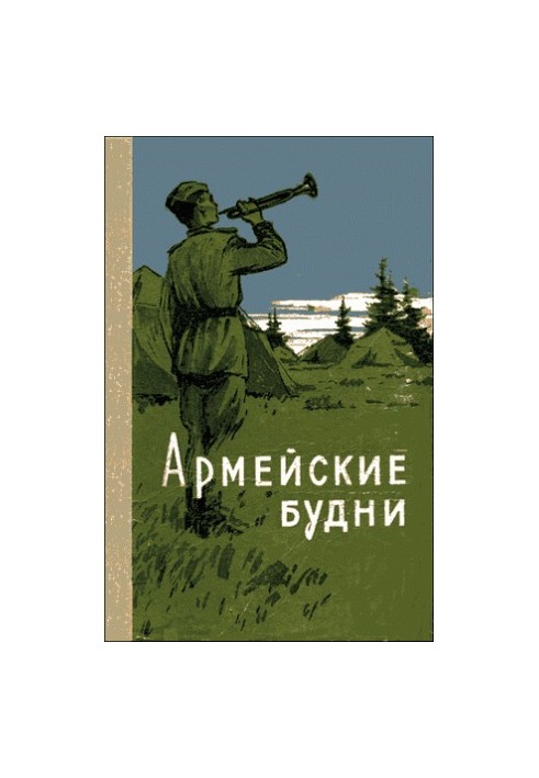 Армейские будни