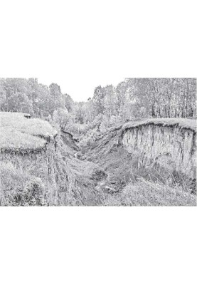 Bear's Hollow
