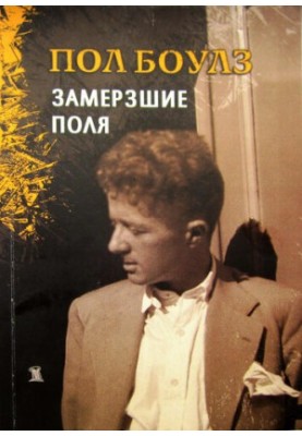 Замерзлі поля
