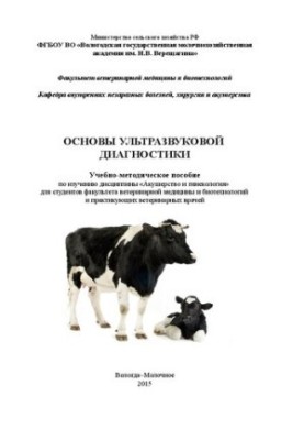 Основы ультразвуковой диагностики: Учебно-методическое пособие по изучению дисциплины «Акушерство и гинекология» для студенто
