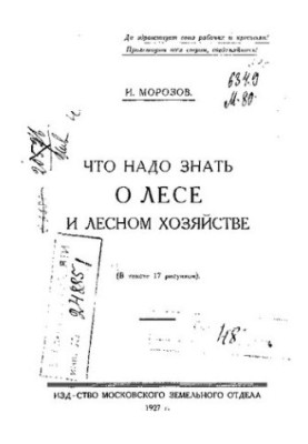 Что надо знать о лесе и лесном хозяйстве