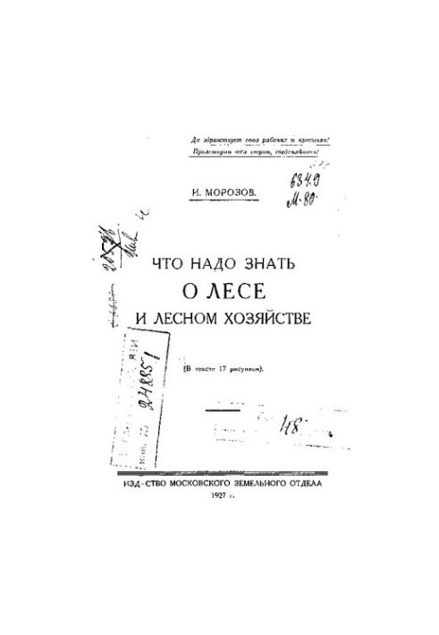 Что надо знать о лесе и лесном хозяйстве