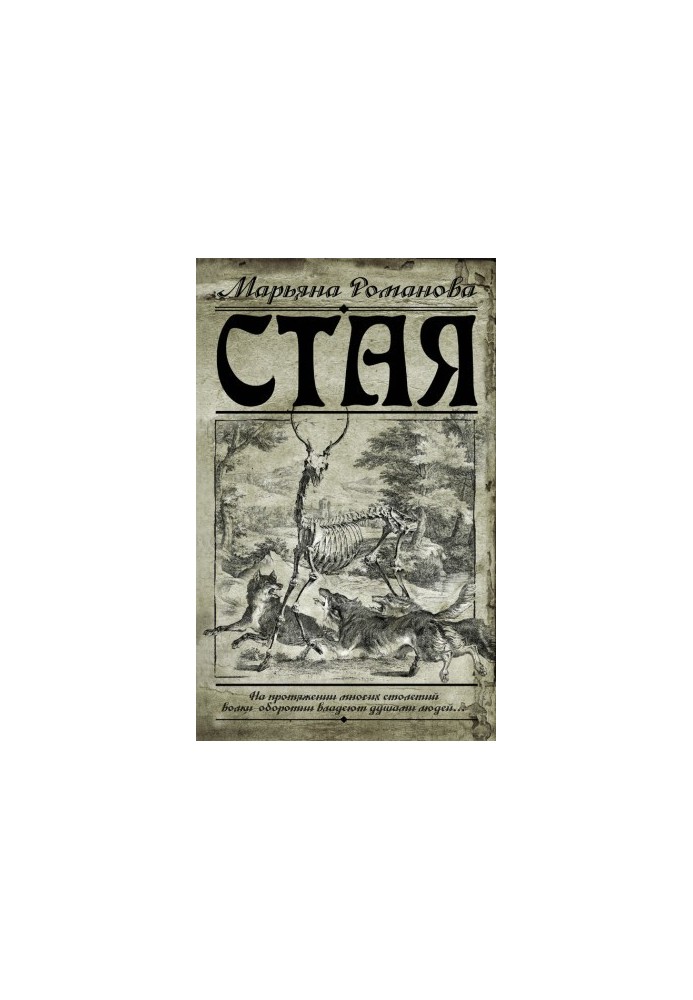 Стая