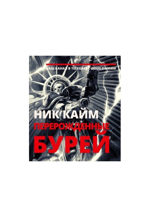 Перерожденные бурей [ЛП]