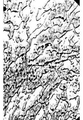 Proceedings of the Seismological Institute.