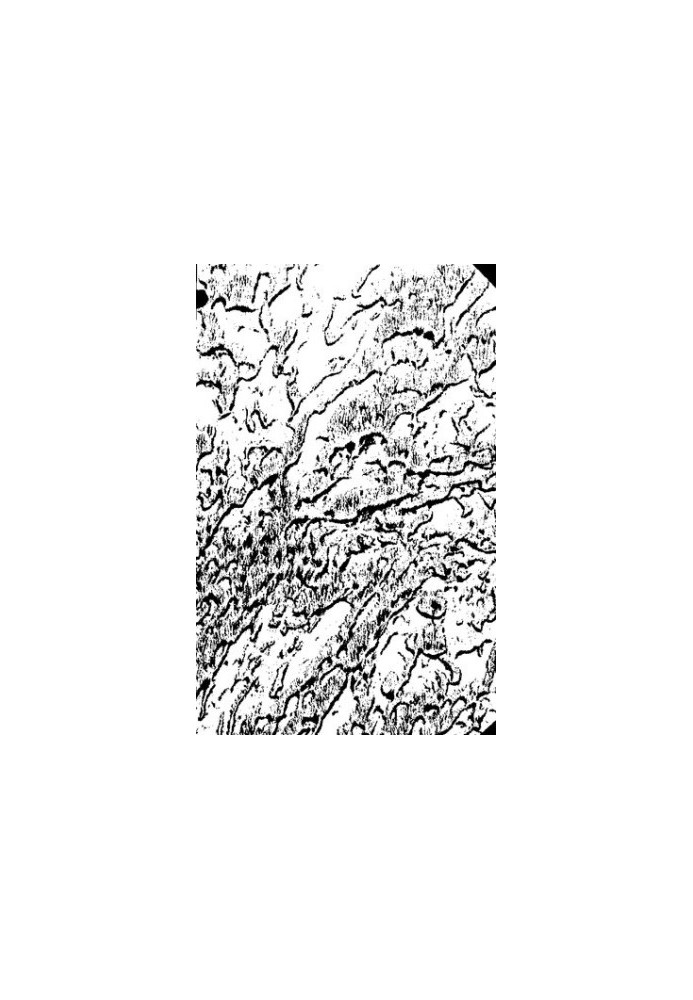Proceedings of the Seismological Institute.