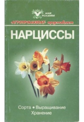 Нарциссы