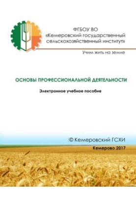 Основы профессиональной деятельности: учебное пособие