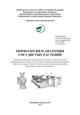 Морфология и анатомия сосудистых растений: Учебно-методическое пособие для обучающихся по биологическим направлениям подготов