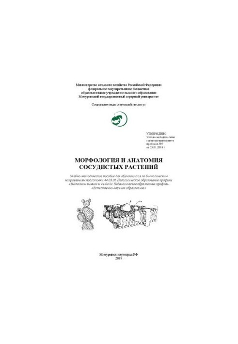 Морфология и анатомия сосудистых растений: Учебно-методическое пособие для обучающихся по биологическим направлениям подготов