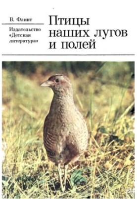 Birds of our meadows and fields