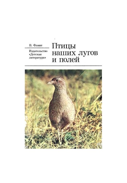 Birds of our meadows and fields