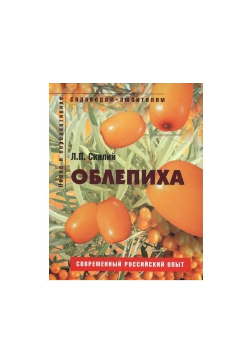 Облепиха.