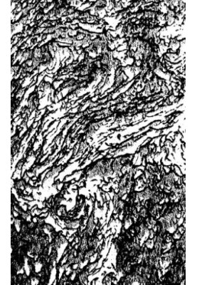 Materials on geology of the West Siberian region.
