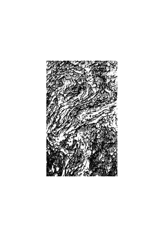 Materials on geology of the West Siberian region.