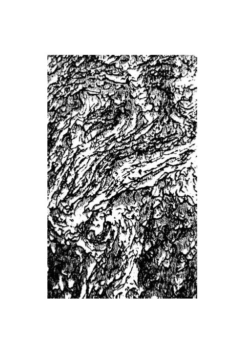 Materials on geology of the West Siberian region.