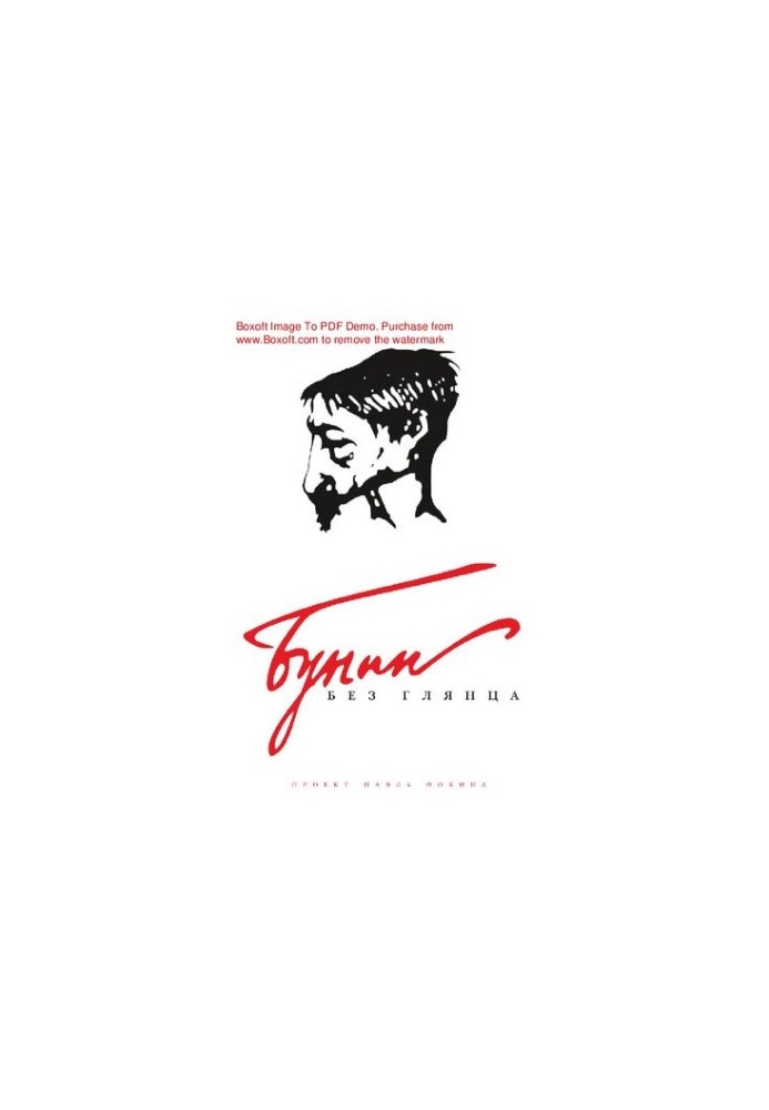 Bunin without gloss : [Electronic resource] : project by Pavel Fokin