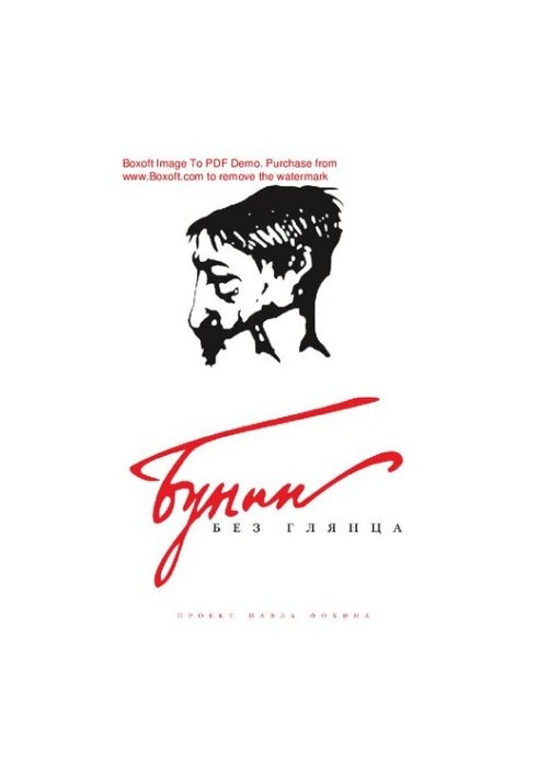 Bunin without gloss : [Electronic resource] : project by Pavel Fokin