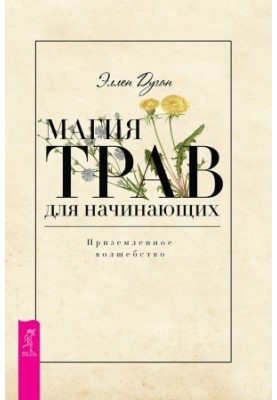 Magic herbs for beginners. Grounded magic