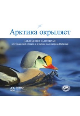 Арктика відкриває. Спостереження за птахами в Мурманській області та на півострові Варенгер