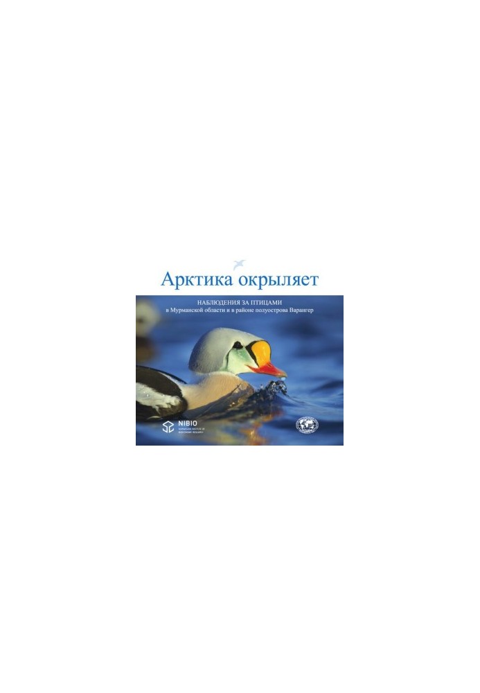 Арктика відкриває. Спостереження за птахами в Мурманській області та на півострові Варенгер