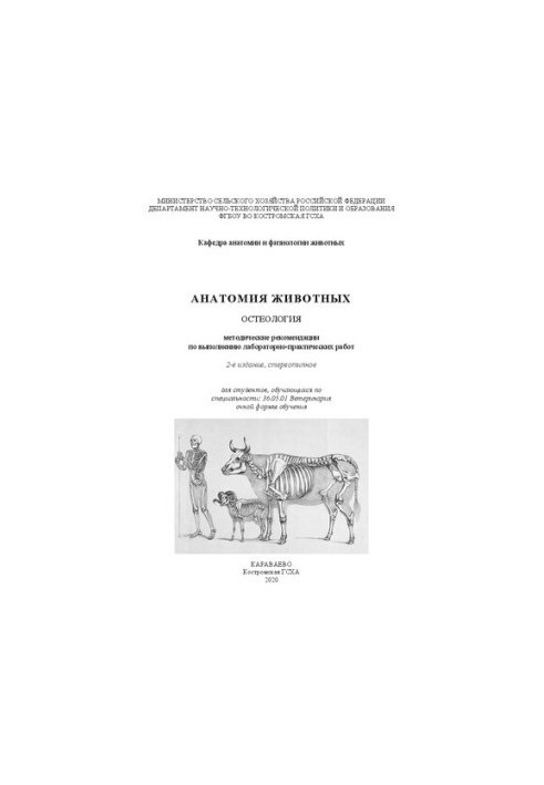 Анатомия животных. Остеология: методические рекомендации