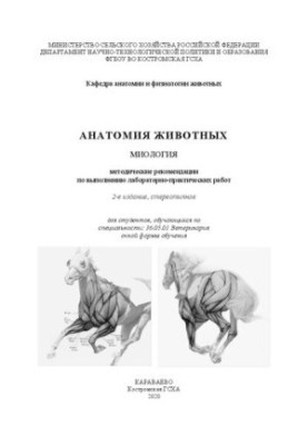 Анатомия животных. Миология: методические рекомендации