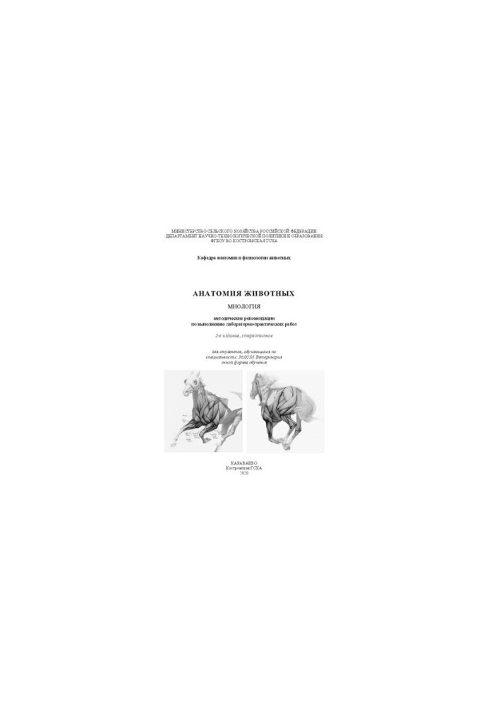 Анатомия животных. Миология: методические рекомендации