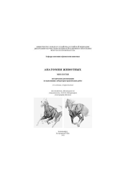 Анатомия животных. Миология: методические рекомендации