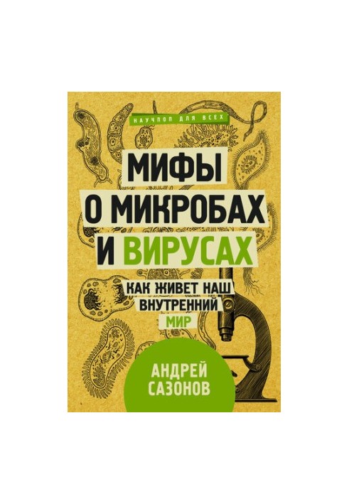 Мифы о микробах и вирусах: как живет наш внутренний мир