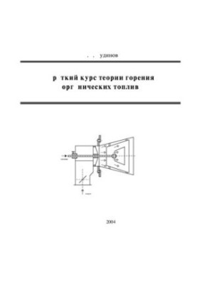 Краткий курс теории горения органических топлив
