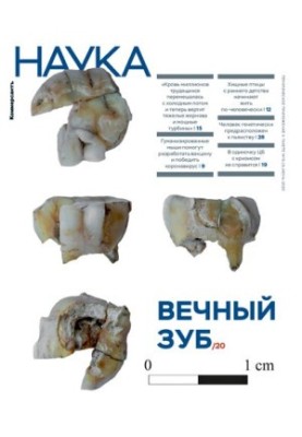 Коммерсантъ Наука