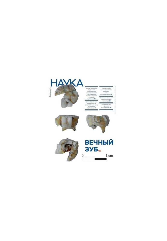 Коммерсантъ Наука