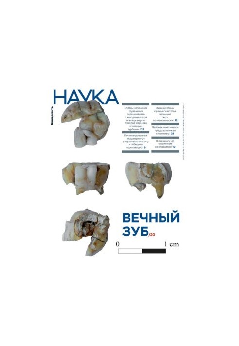 Коммерсантъ Наука