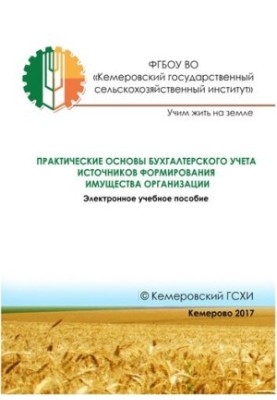 Практические основы бухгалтерского учета источников формирования имущества организации: электронное учебное пособие