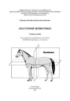 Анатомия животных: учебное пособие