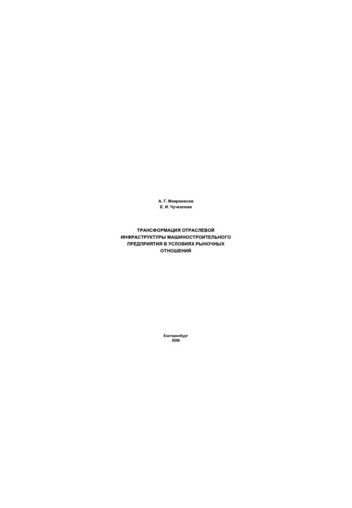 Transformation of the branch infrastructure of the machine-building enterprise in the conditions of market relations : monograph