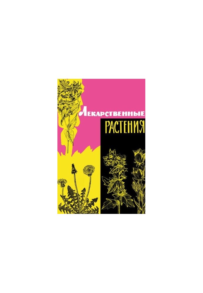 Лекарственные растения дикорастущие