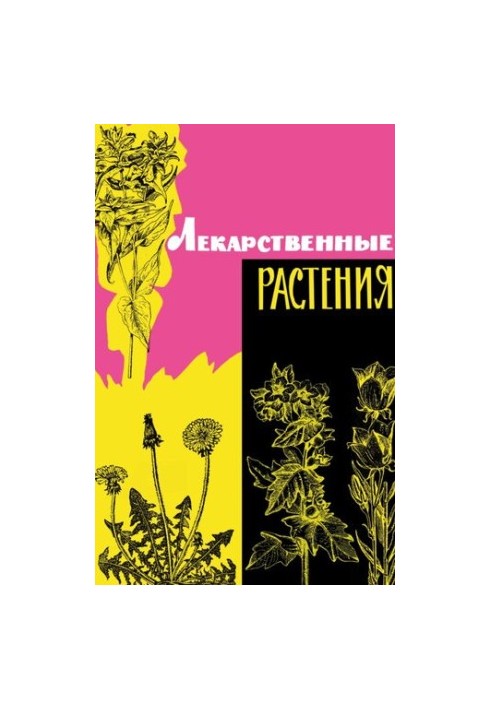 Лекарственные растения дикорастущие