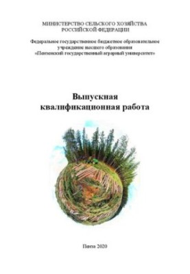 Выпускная квалификационная работа: методические рекомендации