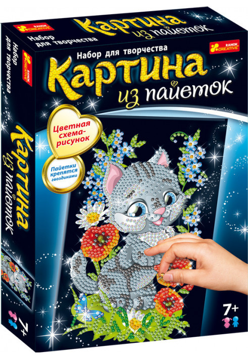 Картинка из пайеток.Котик