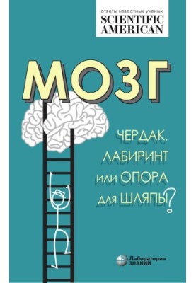 Мозг: чердак, лабиринт или опора для шляпы?