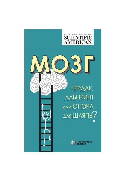 Мозг: чердак, лабиринт или опора для шляпы?
