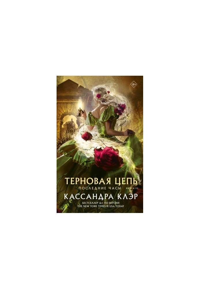 Последние часы. Книга III. Терновая цепь